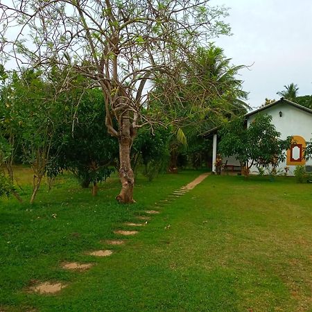 Hideaway Homestay Habarana Dış mekan fotoğraf