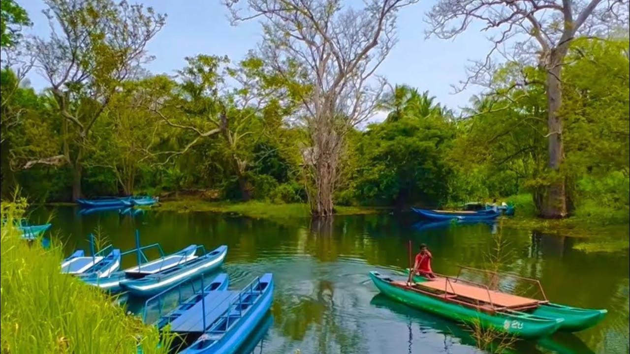 Hideaway Homestay Habarana Dış mekan fotoğraf
