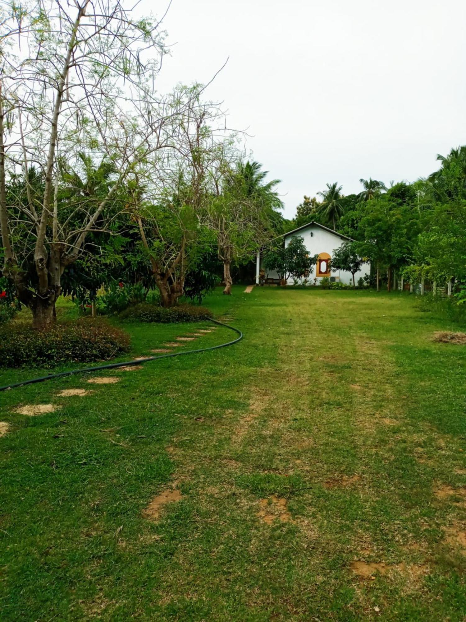 Hideaway Homestay Habarana Dış mekan fotoğraf