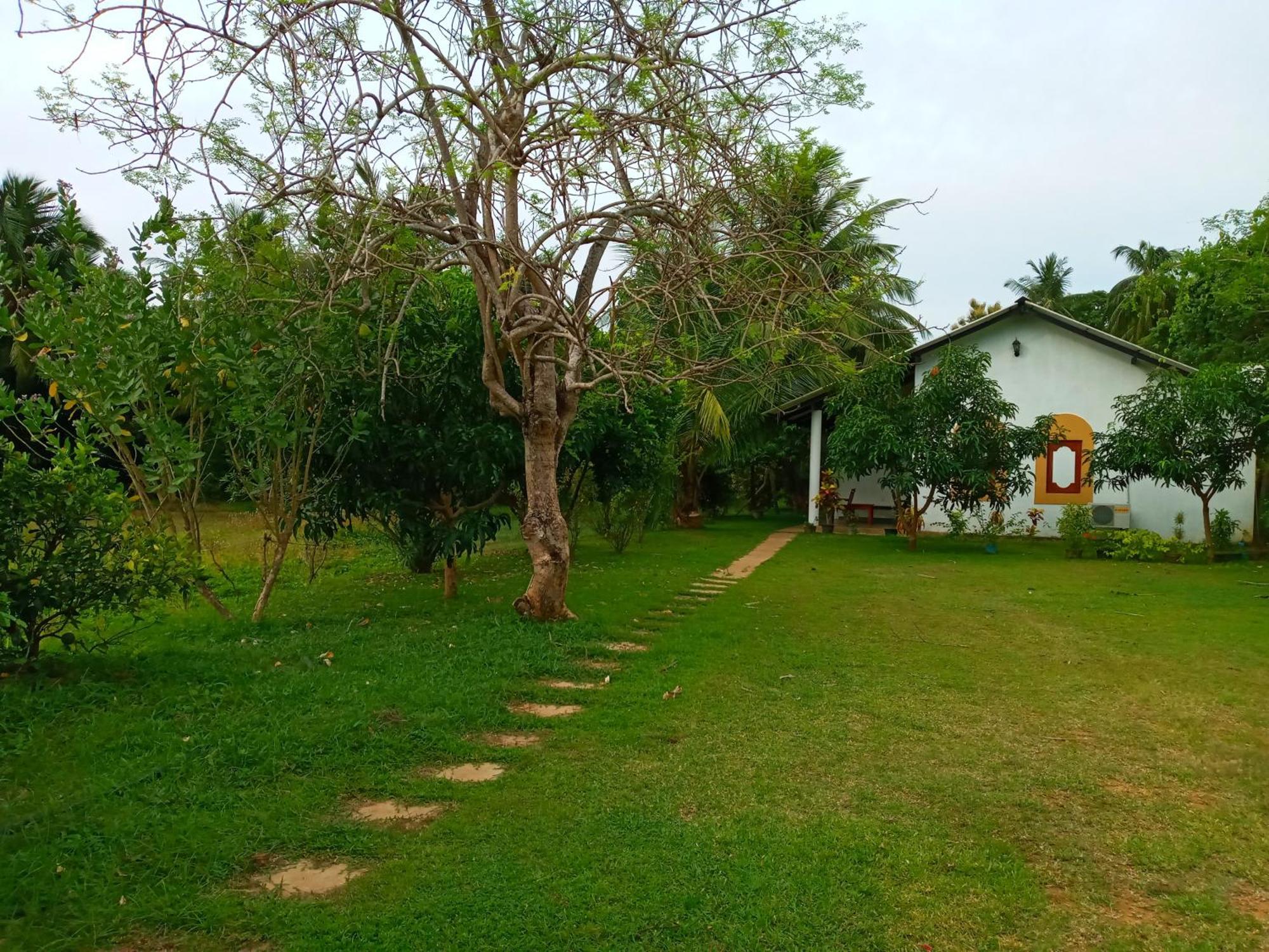 Hideaway Homestay Habarana Dış mekan fotoğraf