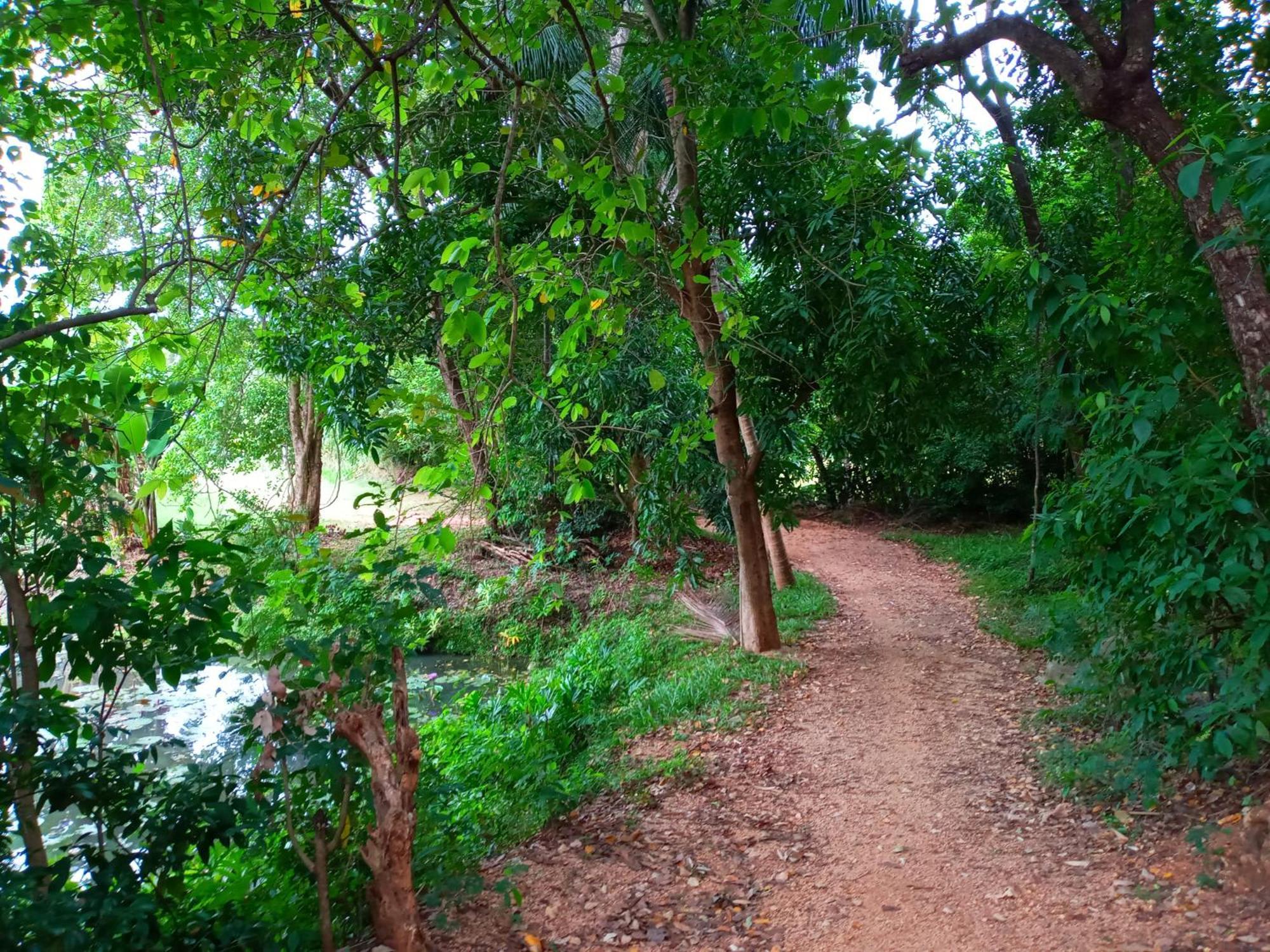 Hideaway Homestay Habarana Dış mekan fotoğraf
