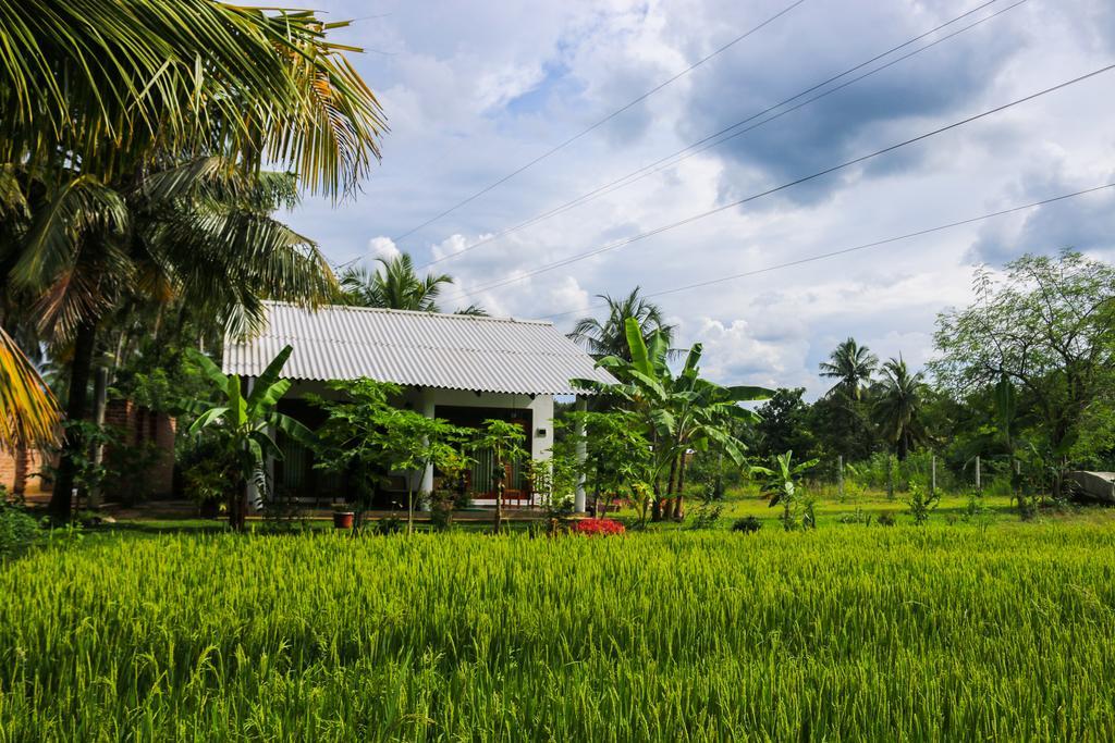 Hideaway Homestay Habarana Dış mekan fotoğraf