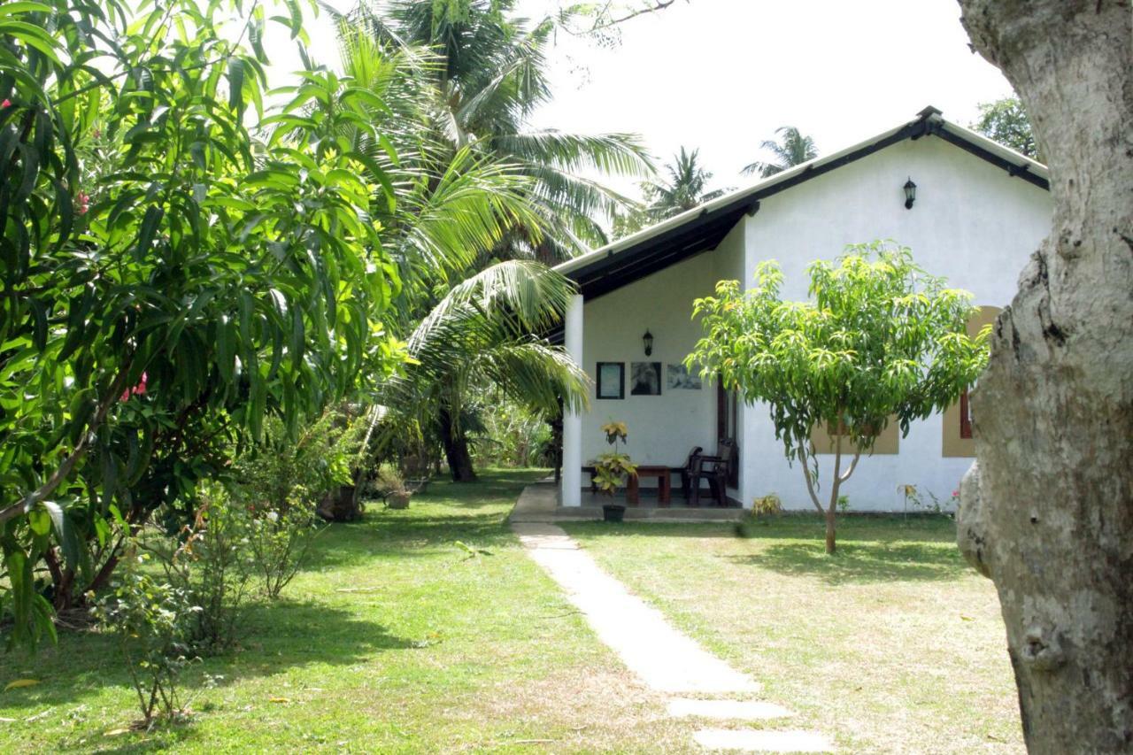Hideaway Homestay Habarana Dış mekan fotoğraf
